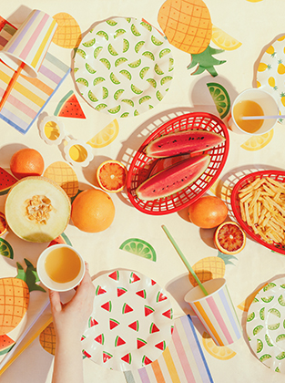 Summer parties / Picnic