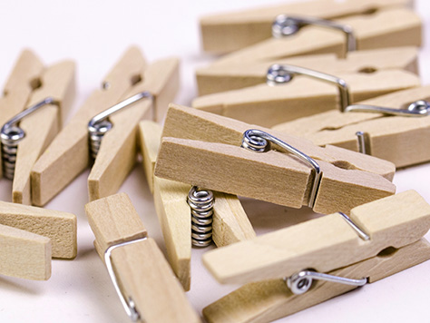 Embellishments / Wooden pegs