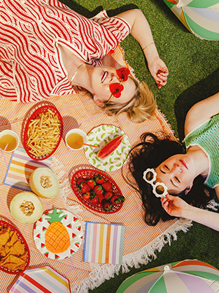 Summer parties / Picnic