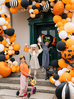 Pumpkin Party Collection