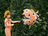 Foil balloon Ladybug, 87x75 cm, mix