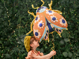 Folienluftballon Marienkäfer, 87x75 cm, Mix