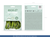 Ballons Eco 30 cm, pastel, olive (1 pqt. / 10 pc.)