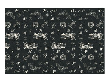 Obrus papierowy Harry Potter, 180x120 cm, czarny
