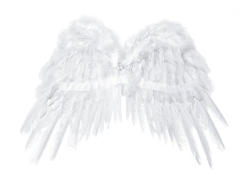 Angel's wings, white, 53 x 37cm