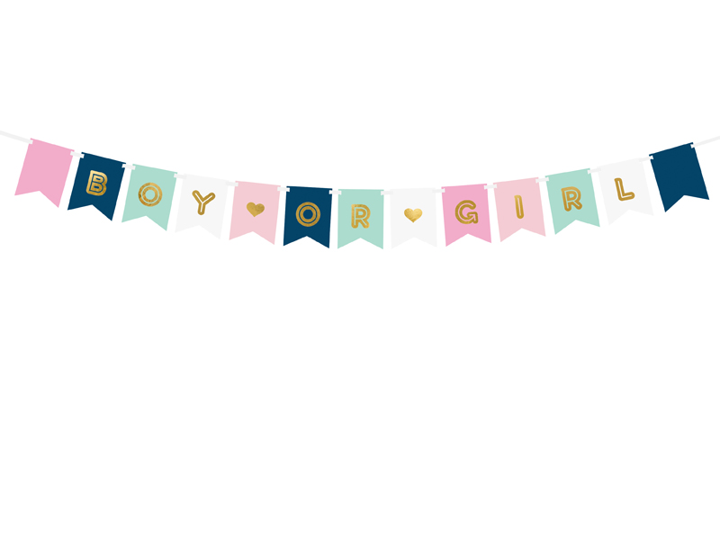 Flaggbanner – Boy or Girl – mix – 15x175 cm