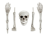 Skeleton Decoration