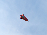 Folienballon Rakete, 44x115cm, Mix