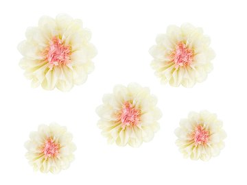 Tissepaper decoration Flowers, cream, 30-20 cm (1 pkt / 5 pc.)