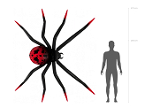 Folien-Standballon Spinne XXL, 275x152 cm, schwarz-rot