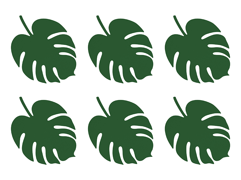 Platskort – Aloha Monstera – 6-pack