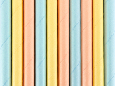 Paper straws Summer time, 19.5cm (1 pkt / 10 pc.)