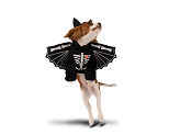 Bat Dog Costume, 45x35cm