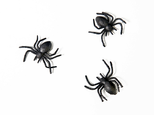 Plastic spiders, black (1 pkt / 10 pc.)