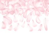 Decorative feathers, light pink, 3g