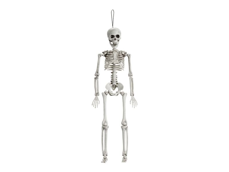 Halloween – Skelett – 40 cm