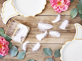 Decorative feathers, white, 3g