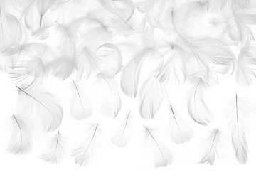 Decorative feathers, white, 3g