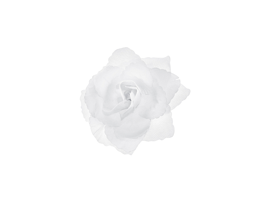 Różyczki do przylepiania, biały, 9cm (1 op. / 24 szt.)