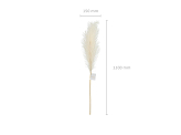 Pampas grass artificial, light cream, 15x110cm