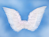 Angel's wings, white, 75 x 45cm