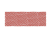 Wrapping paper - Red star of Bethlehem, 70x200cm