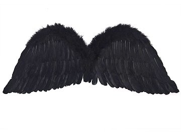 Angel's wings, black, 75 x 30cm