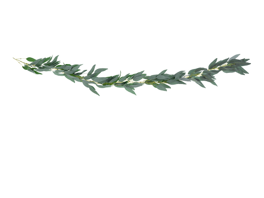 Guirlande de feuilles de saule, 2 m