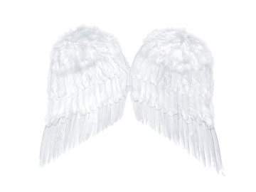 Angel's wings, white, 55 x 45cm
