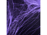 Spiderweb Halloween, violet, 60g